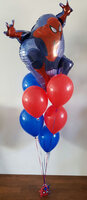 Spiderman helium ballonnentros