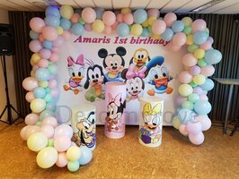 Disney Babies Setting Basic