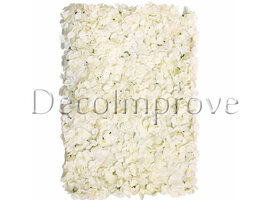 Creme Bloemen Flowerwall Bloemen Wand