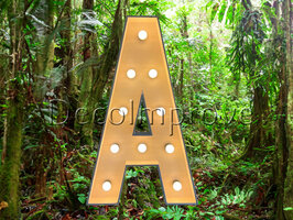 Lichtletter Hout 'A' Verhuur