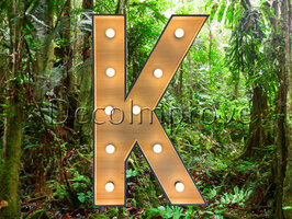 Lichtletter Hout 'K' Verhuur