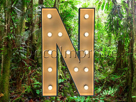 Lichtletter Hout 'N' Verhuur