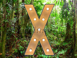 Lichtletter Hout 'X' Verhuur