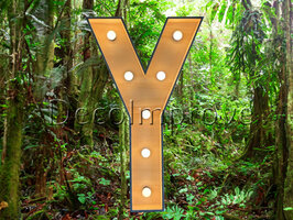 Lichtletter Hout 'Y' Verhuur