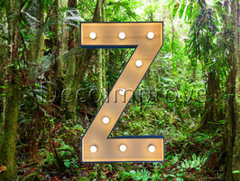 Lichtletter Hout 'Z' Verhuur