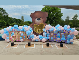Gender Reveal "Teddybear with a BANG" Setting Groot