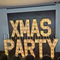 Lichtletters XMAS PARTY Backdrop