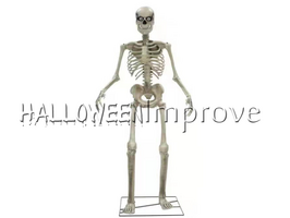 Staand Skelet Animatron Bewegend Figuur Verhuur