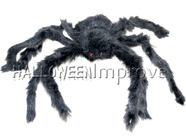 Zwarte Spin 60cm