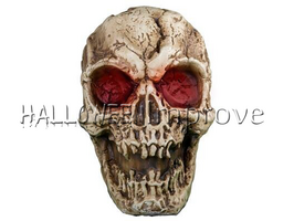 Jumbo Schedel Animatie 96cm