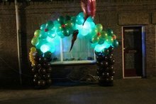 Ballonnenboog Jungle Boom inclusief Dieren met LEDverlichting