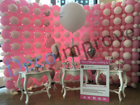 Baby Roze Ballonnenwand  