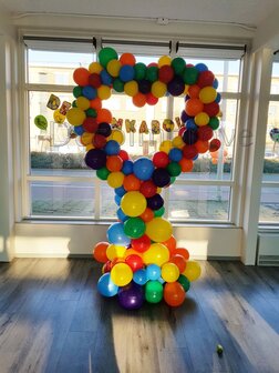 Organic Love Regenboog Foto Frame Ballondecoratie Hartvorm