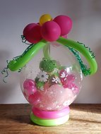 Lente Kikker Cadeauballon Stuffer Ballon