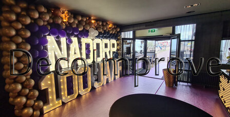 Ballonnenwand Blauw, Paars en Goud met Lichtletters