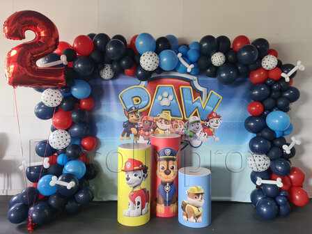 Paw Patrol Setting Medium