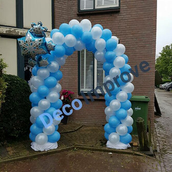 Ballonnenboog Frozen Ijs Enkeldeurs