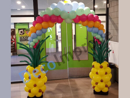 Ballonnenboog Ananas Tropical Enkeldeurs