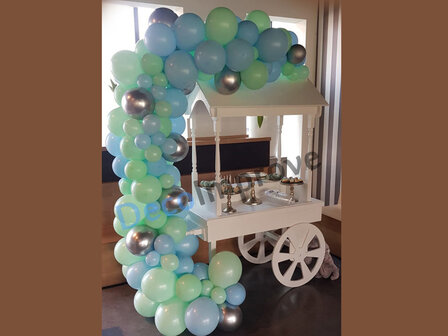 Organic Pastel Blauw en Groen Driekwart Ballonnenboog