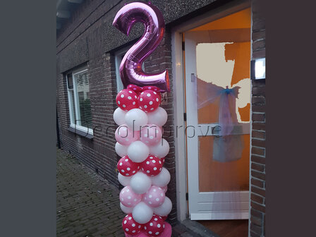 Ballonnenpilaar Standaard 2e Verjaardag Roze Polkadot 220cm Clusters van 4