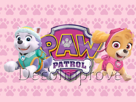 Roze Paw Patrol Backdrop 200x250cm Verhuur