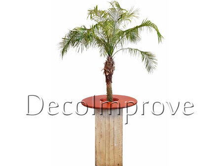 Statafel Whitewash met Palmboom decoratie 