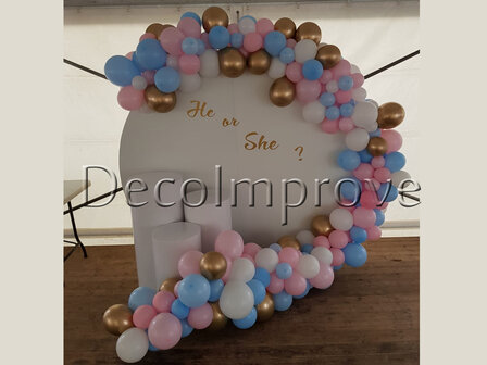 Gender Reveal Pastel Basic Setting