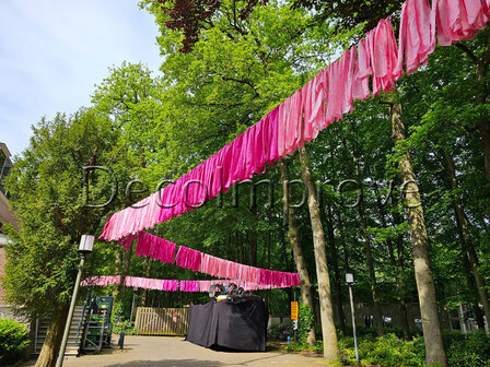 Slinger Slierten Roze 50m