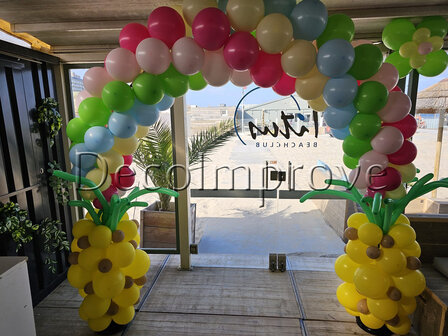 Ballonnenboog Ananas Tropical Ibiza Enkeldeurs