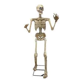 Staand Skelet 150cm Animatron Bewegend Figuur Verhuur