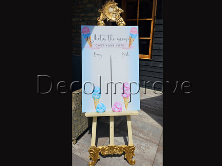 Gender Reveal &#039;What&#039;s the Scoop?&#039; Welkomstbord 60x90cm