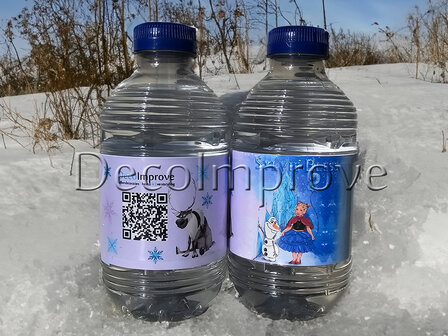 Waterfles Gepersonaliseerd &quot;Frozen&quot;