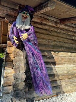 Paarse Heks Staand Figuur