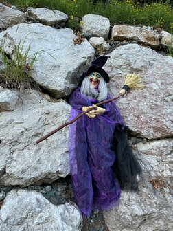 Paarse Heks Staand Figuur