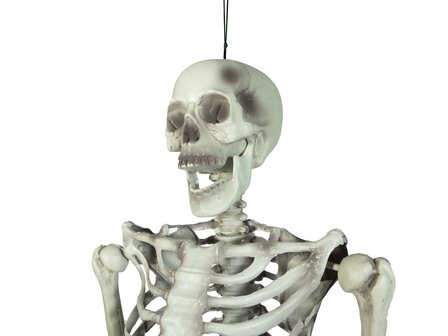 Skelet Hangend Figuur