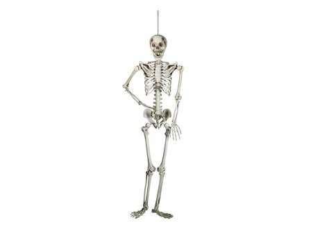 Skelet Hangend Figuur