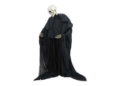 Skelet Staand Figuur