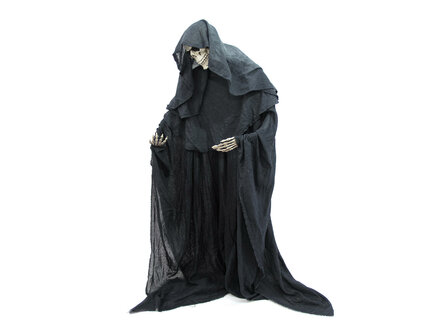 Skelet Staand Figuur