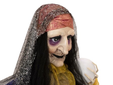 Waarzegster Animatron Bewegend Figuur