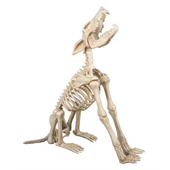 Huilende Wolf Skelet Animatron Bewegend Figuur