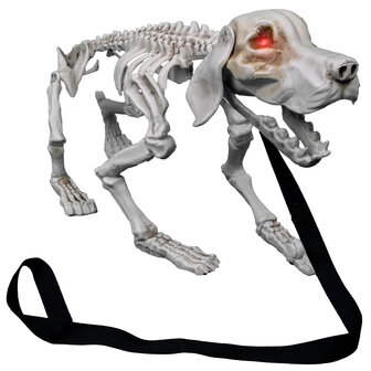 Blaffende Hond Skelet Decoratie met Geluid