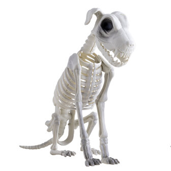 Hond Skelet Decoratie