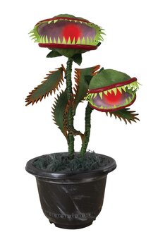 Venus Vliegenvanger Plant Animatron Bewegend Figuur