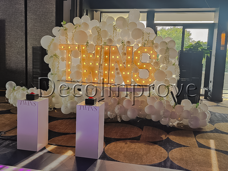 Gender Reveal "Twins" Setting Indoor