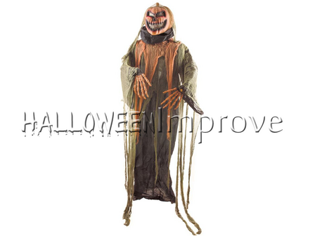 Pompoen met Licht Verhuur