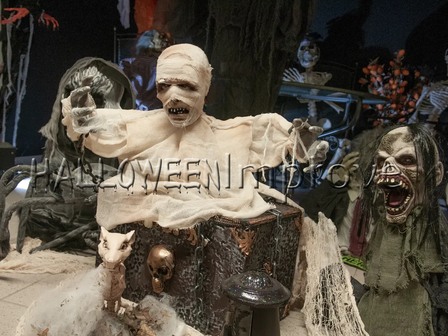 mummie8