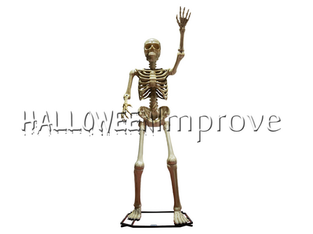 Skelet 335cm Staand Figuur