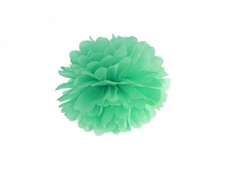 Mint Pompom Decoratie 25cm Mint