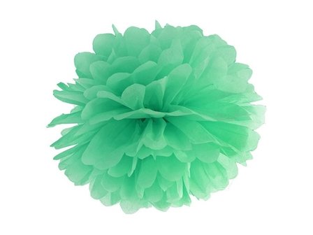 Mint Groen Pompom Decoratie 35cm Mint