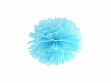 Hemels Blauw Pompom Decoratie 25cm Sky Blue